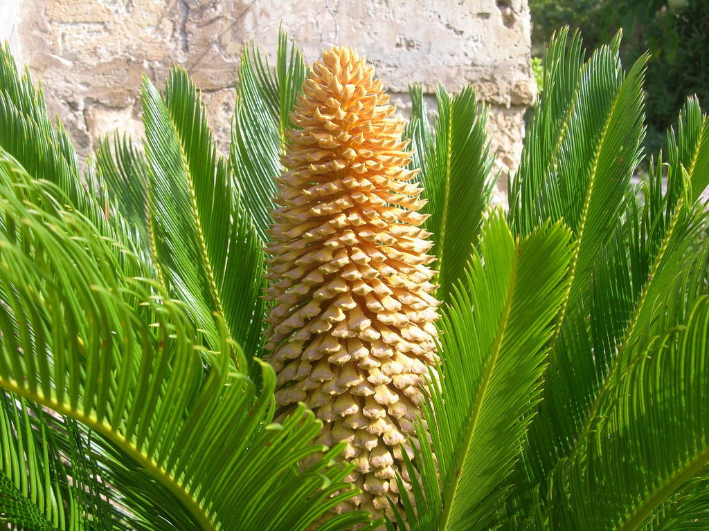 Finca Son Josep De Baix Calas de Mallorca Exteriér fotografie