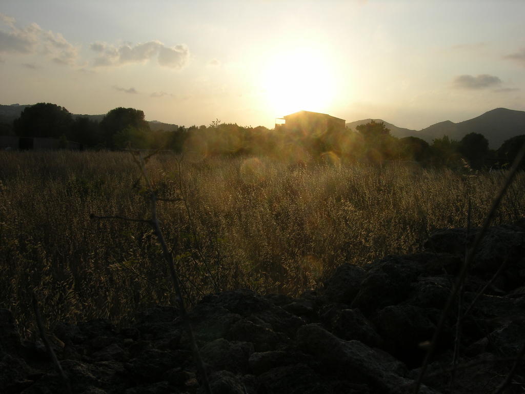 Finca Son Josep De Baix Calas de Mallorca Exteriér fotografie